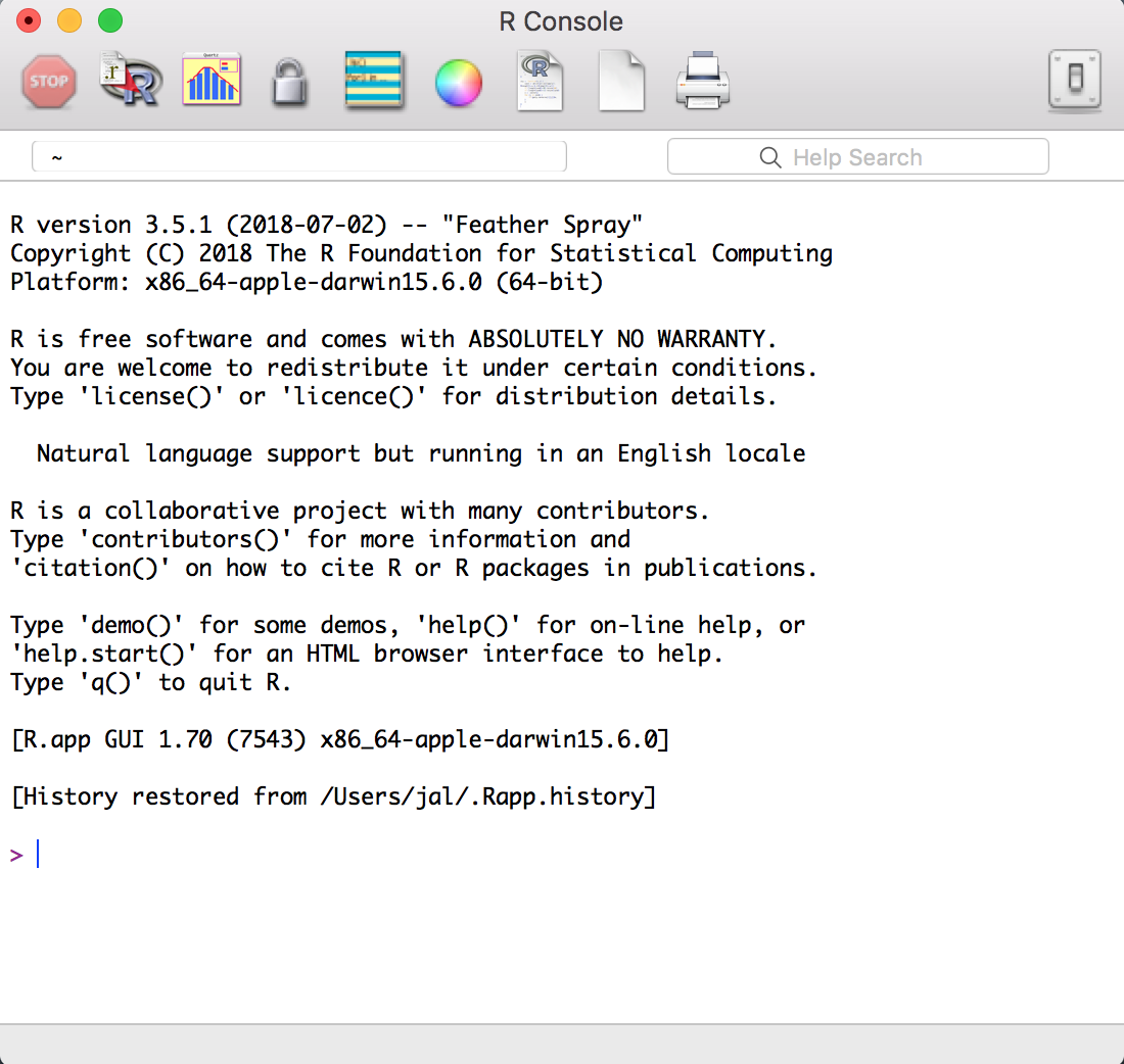 The R console in macOS